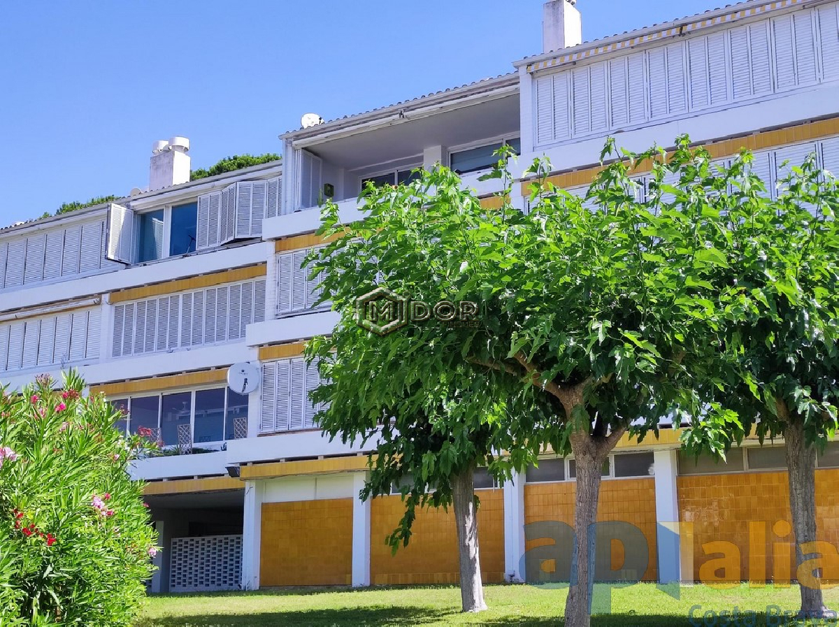Platja d'Aro / Politur