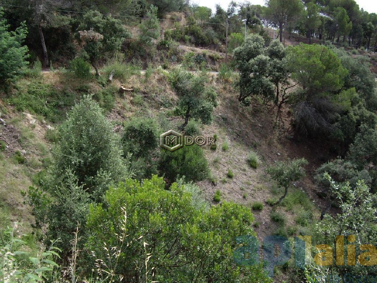 Calonge / Rio de Oro