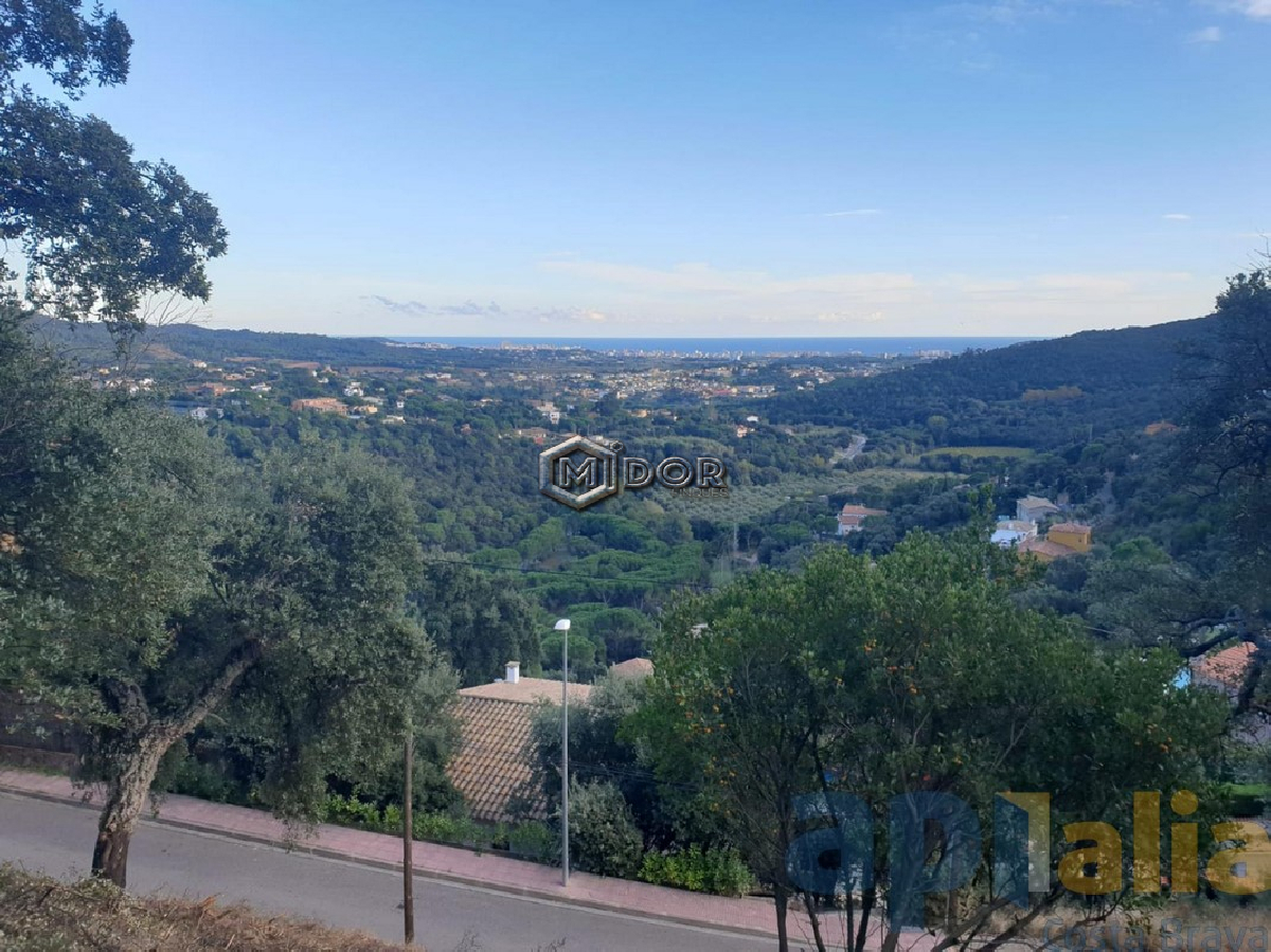 Calonge / Rio de Oro